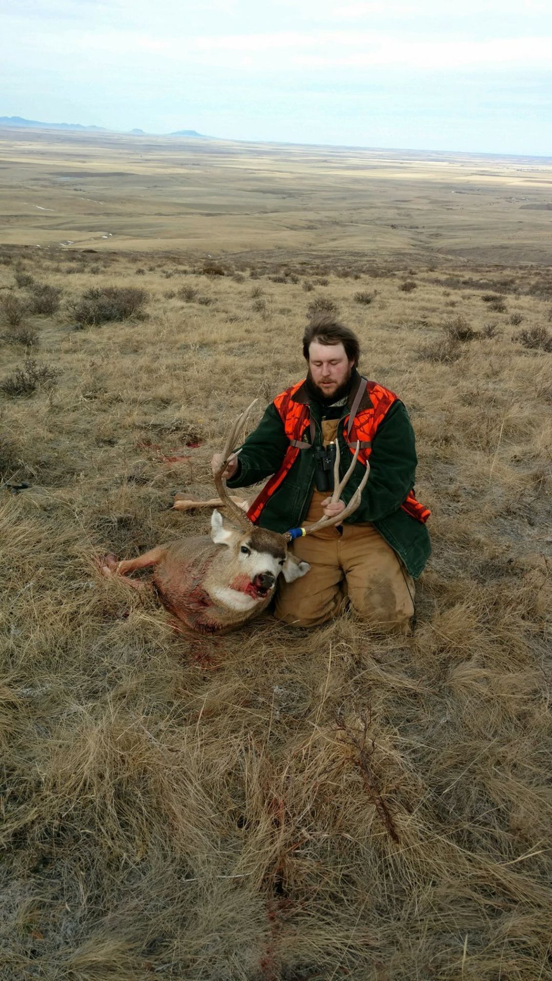Hunting trophy